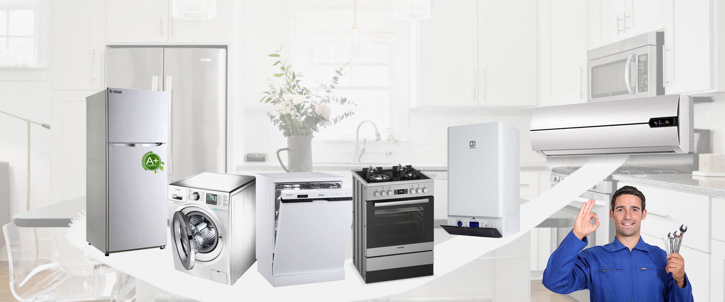Ayvacık Gaggenau Servisi